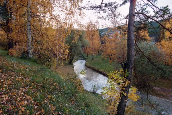 Il fiume di Belakurikh nella caduta — Foto Stock
