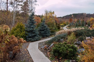 Sonbaharda çiçek açması Vadisi