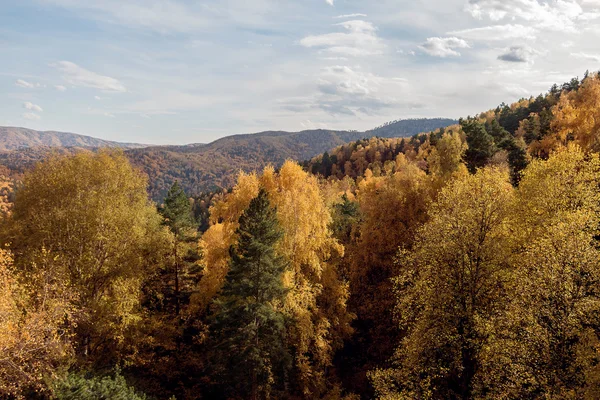 Tserkovk の山から秋の風景 — ストック写真