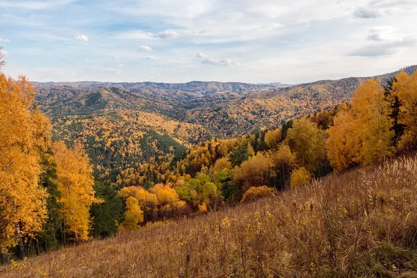 Paesaggio autunnale dalla montagna di Tserkovk — Foto Stock