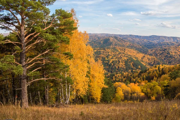 Paesaggio autunnale dalla montagna di Tserkovk — Foto Stock