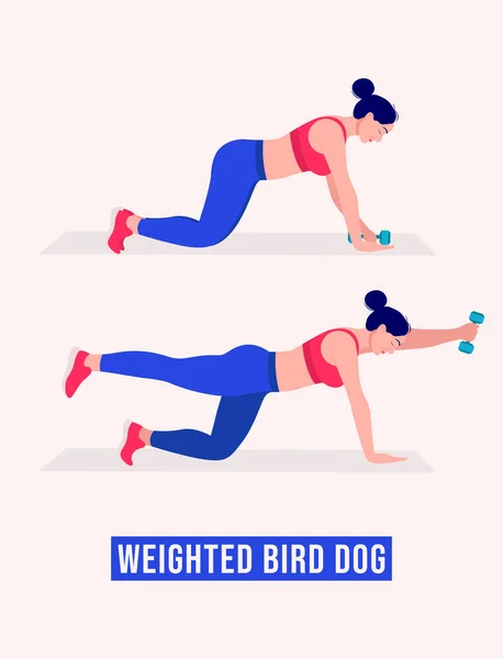 Gewichtsübungen Für Bird Dog Fitness Für Frauen Aerobic Und Übungen — Stockvektor