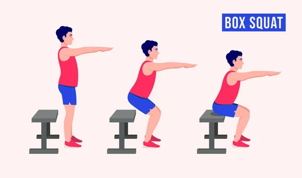 Box Kniebeuge Training Men Workout Fitness Aerobic Und Übungen Vektorillustration — Stockvektor