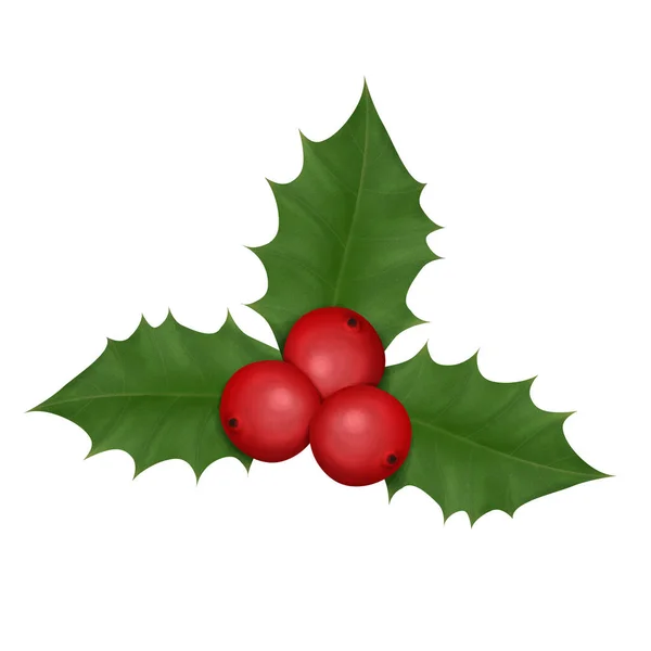 Holly Berry Deixa Decoração Natal Ilustração Realista Isolado Fundo Branco — Fotografia de Stock