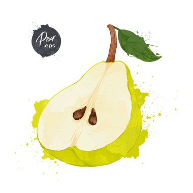 Armut, beyaz arka planda izole edilmiş. suluboya biçim Vektör illüstrasyonu.