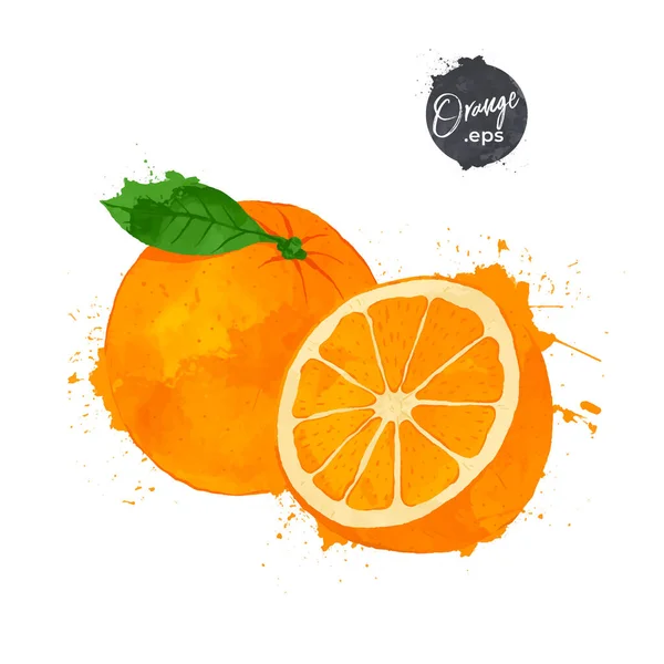 Fruta Laranja Corte Meio Isolado Sobre Fundo Branco Aquarela Estilo — Vetor de Stock