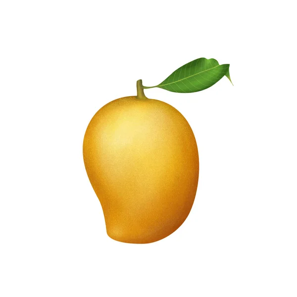 Frisch Reifen Mango Frucht Illustration Isoliert Auf Weißem Hintergrund — Stockfoto