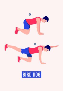 Erkekler Bird Dog egzersizi yapıyor, Erkekler spor yapıyor, aerobik yapıyor ve egzersiz yapıyor. Vektör İllüstrasyonu