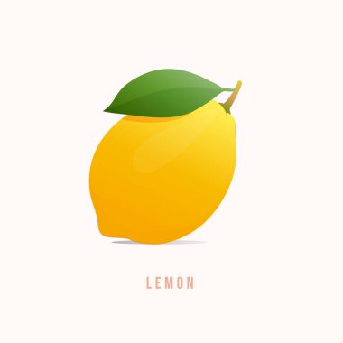 limon meyvesi Modern biçim vektör illüstrasyonu.