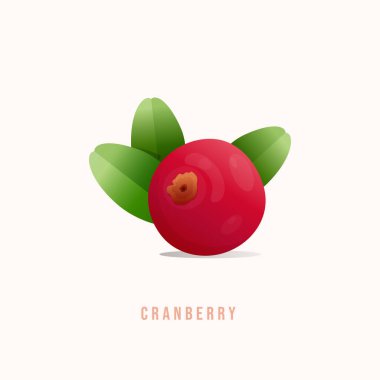 Kızılcık Modern biçim vektör çizimi.