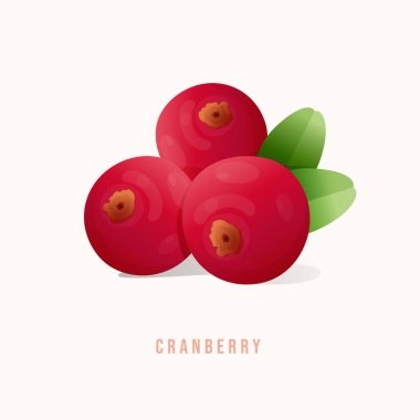  Kızılcık Modern biçim vektör çizimi.