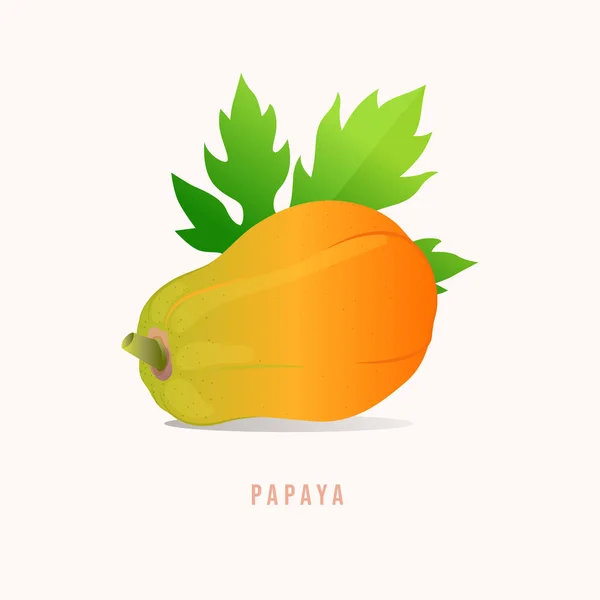 Papaye Illustration Vectorielle Style Moderne — Image vectorielle