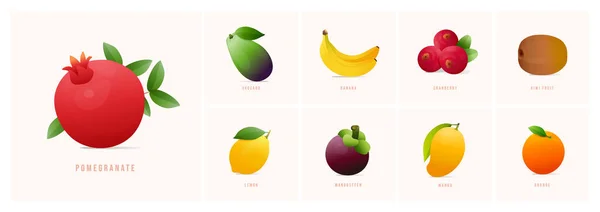 Uppsättning Frukter Modern Stil Vektor Illustrationer Granatäpple Avokado Banan Tranbär — Stock vektor