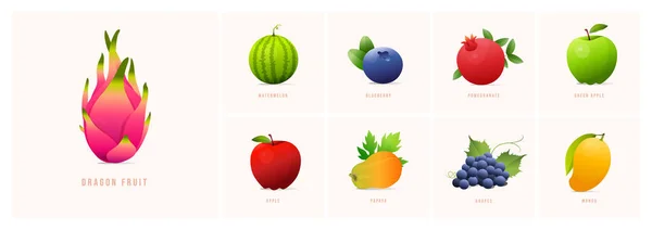 Σύνολο Φρούτων Μοντέρνο Στυλ Διανυσματικές Απεικονίσεις Βερίκοκο Cranberry Μπανάνα Σταφύλια — Διανυσματικό Αρχείο