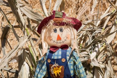 mutlu korkutma karga