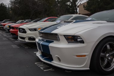 Kara Şahin araba n kahve araba gösterisi Danville Ca