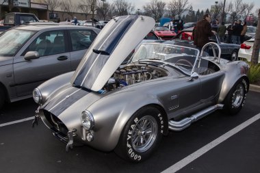 Kara Şahin araba n kahve araba gösterisi Danville Ca