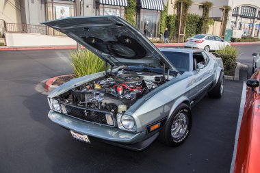 Kara Şahin araba n kahve araba gösterisi Danville Ca