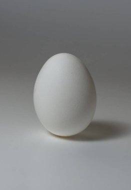 Gri arka planda duran izole edilmiş taze beyaz yumurta. Doğal ekolojik ürün