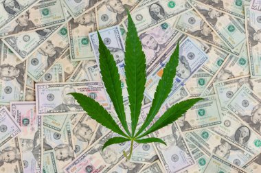 Bir dolarlık mermilerin üzerinde marihuana bitkisinin en üst görüntüsü. Tıbbi esrar ticareti kavramı
