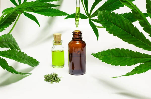 Tıbbi kenevir yağı şişeleri beyaz arka planda marihuana yapraklarıyla çevriliyken yağ dolu damlalar şişelerden birine damlıyor.