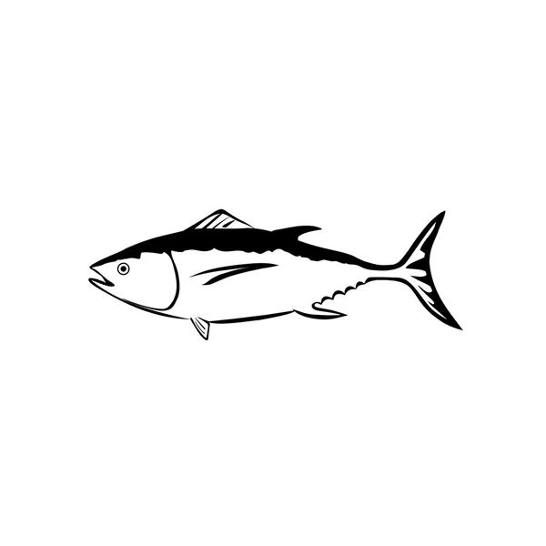 Tuna — Stock Vector