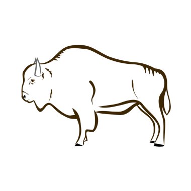 bizon (buffalo)