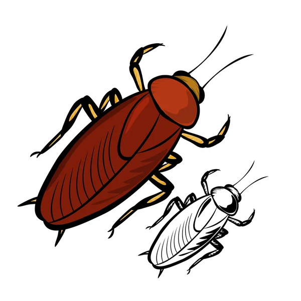 Cockroach — Stock Vector