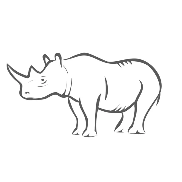 Rhinocéros — Image vectorielle