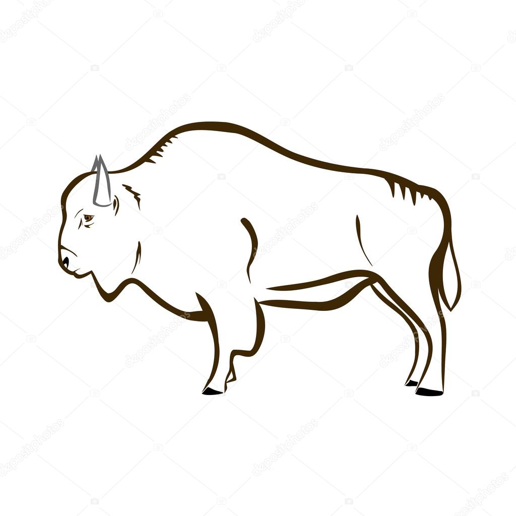 Bison (buffalo)