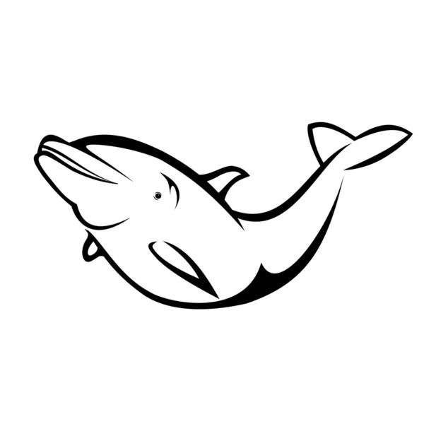 Dolphin — Stock Vector