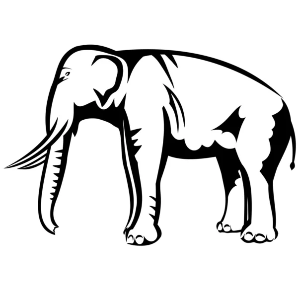 Elefante — Vetor de Stock