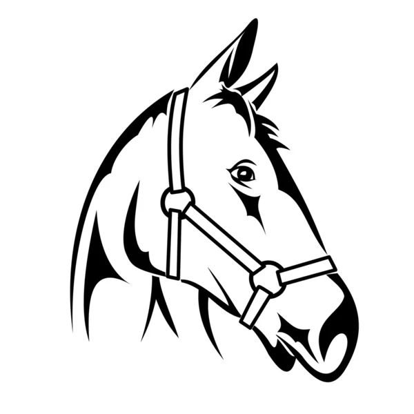 Cabeza de caballo — Archivo Imágenes Vectoriales