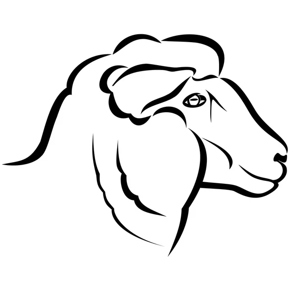 Kepala domba - Stok Vektor