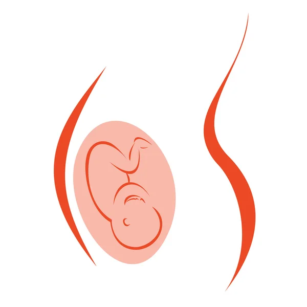 Embarazada vientre — Archivo Imágenes Vectoriales