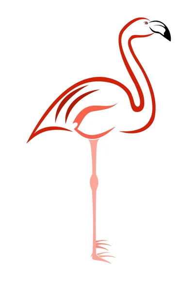 Flamingo — Stock Vector