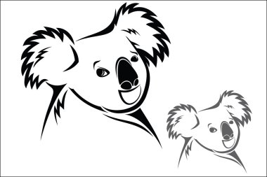 koala ayısı