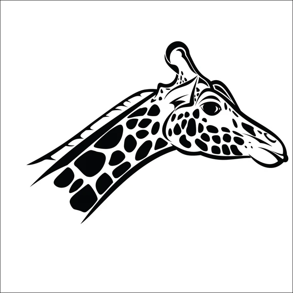 Giraffenkopf 2 — Stockvektor