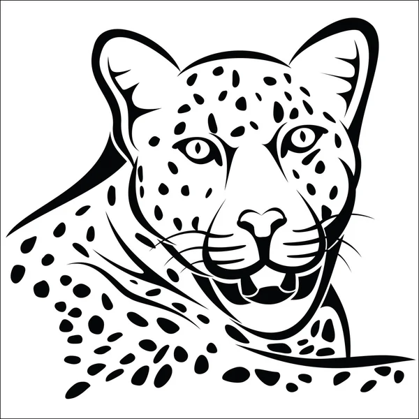 Leopardo — Vector de stock