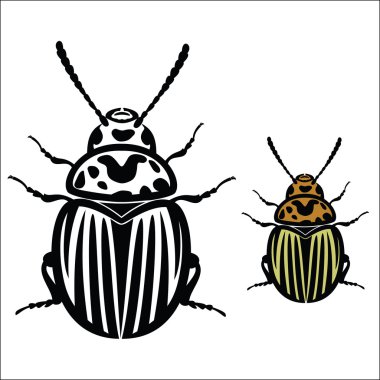 Colorado Potato Beetle clipart