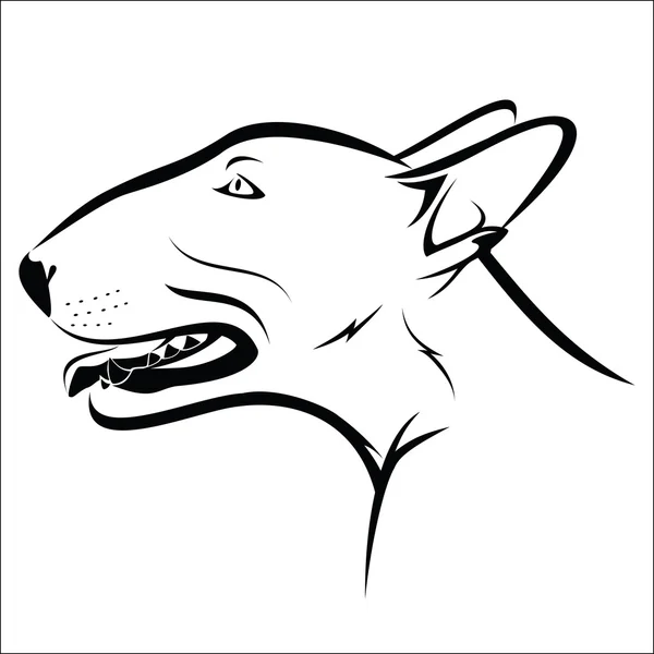 Toro terrier — Vector de stock