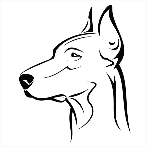 Doberman — Stockvector