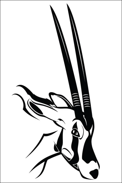 Gemsbok antílope — Vetor de Stock