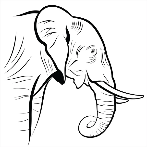 Ελέφαντας σε λευκό φόντο — Διανυσματικό Αρχείο