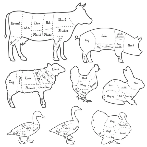 Vintage Outline Diagramm Mahlzeit Schneiden von Haustieren — Stockvektor