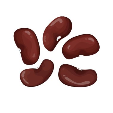 Kırmızı branlar beyaz arka planda izole edilmiş. Düz bir şekilde parlak çiğ sebze. Meksika malzemesi, lezzetli besleyici..