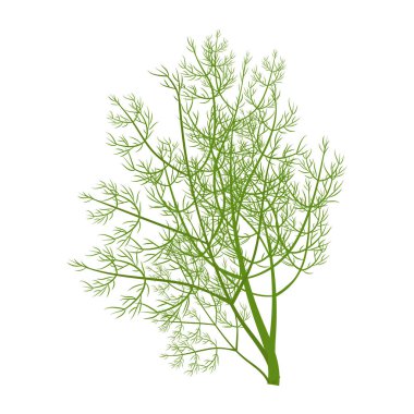 Beyaz arka plan stok vektör illüstrasyonuna izole edilmiş yeşil dereotu brunch 'ı. Düz stil, renkli malzeme, bitkisel garnitür..