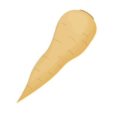 Yaban havucu ya da yaban turpunun ham kökü. Beyaz arka planda yalıtılmış sebzeler. Taze mutfak malzemesi, beslenme ürünü, vitamin yiyeceği.. 