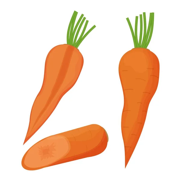 Raw Carrot Half Part Cartoon Style Isolated White Background Ingredient — Stock Vector