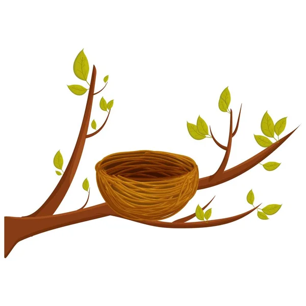 Empty bird nest from twigs on tree branch with leaves isolated on white background. Spring time, vector clipart, brown wooden construction, home from sticks. Detailed, bright object. — Stock Vector